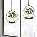 2 Pack Hanging Planters for Indoor Plants, Black Plant Hanger with Sturdy Wood Base, Modern Boho Macrame Hanger, Wall Ceiling Window Planters (Plants/Pots Not Included) by GreenHaven Gardens