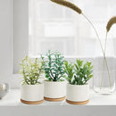 ZOUTOG Succulent Pots, White Mini 3.15 inch Ceramic Flower Planter Pot with Bamboo Tray, Pack of 6 - Plants Not Included by GreenHaven Gardens