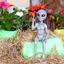 Rude Alien Statue “Flipping The Bird” 10″ H Shelf Sitter Extraterrestrial Figurine Funny Home or Garden Decoration (Alien Gray) by GreenHaven Gardens
