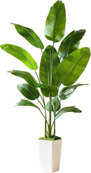 Fake Bird of Paradise Silk Artificial Plant Faux Banana Leaf Tree Lifelike Bird of Paradise for Home Decor Indoor Floor Plant with 10 Trunks (1, White Tall Planter, 6 FT) by CozyNest Decor