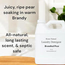 Plant-Based Liquid Laundry Detergent, 32 Fl Oz, Multiple Scents, HE Compatible (Brandied Pear) by CozyNest Decor