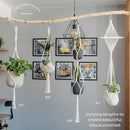 Nook Theory 4-Pack Macrame Plant Hanger - with 8 Ceiling Hooks - Hanging Planter Indoor Outdoor - Hanging Plant Holder - Decorative Bohemian Plant Hangers - Hanging Plants (Pearl) by GreenHaven Gardens