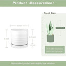 6 Inch Plant Pots, Ceramic Planter Pot with Drainage Hole & Saucer, Indoor/Outdoor Cylinder Round Planter Pot, Matte White by CozyNest Decor