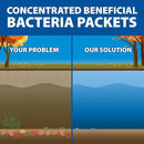 The Pond Guy Seasonal Defense, Spring & Fall Beneficial Bacteria, Barley & Enzymes, Cold Water Pond Sludge & Scum Treatment, Fish & Plant Safe, 12 Packets by GreenHaven Gardens