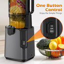 Juicer Machines with 5.4" Large Feed Chute, 400W Cold Press Juicer for Whole Vegetables and Fruits, Slow Masticating juicer Easy to Clean Juice Extractor Machine High Juice Yield(Titanium Gray)