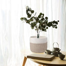 Woven Cotton Rope Plant Basket for 8" Flower Pot Small Basket for Plants Storage Organizer H7.5 x W8.5 by CozyNest Decor