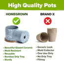 HOME GROWN Indoor Herb Garden Kit w/Glazed Ceramic Pot - Easy-to-Grow Kitchen Window Gardening Starter Set - Unique Housewarming Gift for Women, Mom, Gardeners, Friend, Her, Mother by GreenHaven Gardens