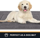 PURRUGS Dirt Trapping Door Mat 20in x 31.5in, Non-Slip/Skid Machine Washable Entryway Rug, Dog Doormat, Super Absorbent Welcome Mat for Muddy Wet Shoes and Paws, Grey by CozyNest Decor