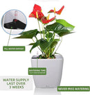 Dexceder 18x17 Self Watering Planter with Wheels Indoor Outdoor, Inner Mat Design, Thickened Large Floor Standing Flower Plant Pot with Water Level Indicator (White Matte) by GreenHaven Gardens