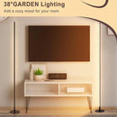 Modern Floor Lamps for Living Room, 56" LED Black Corner Lights with Remote, Dimmable, Floor Standing Lamp for Bedroom Home Office by CozyNest Decor