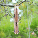 MIXXIDEA 2PK Metal Wild Bird Feeder Squirrel Proof Bird Feeders for Outside Hanging 6 Port Tube Bird Feeder Transparent Finch Feeder with Steel Hanger (Bronze) by CozyNest Decor