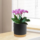 3 Pack 6/5/4 inch Cylindrical Flower Pots, Modern Small Round Plastic Plant Pots with Drainage Holes & Saucers, Clean and Refined Planter Pots for Outdoor, Indoor & Office Decor (Black Brown) by GreenHaven Gardens
