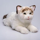 Blinks, Meows & Purrs Realistic Stuffed Cat Interactive Companion Robot Pets 14" by TinyTreasures Baby Boutique