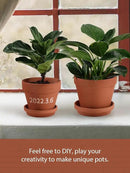 INGOFIN Terracotta Pots Set with Saucer - 5/6/7 inch Ceramic Clay Planters with Drainage Hole, Garden Flower Succulent Pots with Tray for Indoor Outdoor Plants, Set of 3 by CozyNest Decor