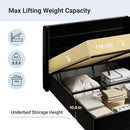 Allewie Queen Size Velvet Lift Up Storage Bed, Modern Wingback Headboard, Hydraulic Support, No Box Spring Needed, Black by CozyNest Decor