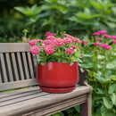 G EPGardening Ceramic Planter 7 Inch - Flower Pots for Indoor Plants, Round Planter with Drainage and Ceramic Tray, Modern Plant Pot, Bathroom Decor, Teacher Gifts, Red by GreenHaven Gardens
