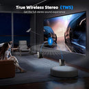 Karaoke Machine with 2 Wireless Microphones Portable Bluetooth Karaoke Machine for Adults Kids DSP Chip Karaoke Speaker with LED Lights Supports TWS TF Card USB AUX in by TinyTreasures Baby Boutique