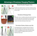 2 Pack Hanging Planters Set,10 Inch Indoor Outdoor Hanging Plant Pot Basket,Hanging Flower Pot with Drainage Hole with 3 Hooks for Garden Home… (Black Hanger Black Planters) by GreenHaven Gardens