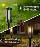 6 Pack Solar Pathway Lights Outdoor, Modern Super Brightness LED Solar Path Lights, IP65 Waterproof Garden Solar Powered Landscape Lighting for Outside Yard Garden Driveway Walkway Decor by CozyNest Decor