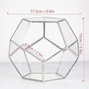 NCYP Small Silver Glass Geometric Terrarium for Succulents Air Plants, 6.89 x 6.89 x 5.9 Inches, Indoor Home Garden Planter Pot, Tabletop Decor Centerpiece, Handmade (Only Terrarium) by GreenHaven Gardens