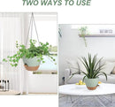 Hanging Planters for Indoor Outdoor Plants, 2 Pack Self Watering Hanging Pot with Drainage Holes & Removable Tray (Green, 6'') by CozyNest Decor