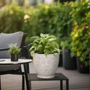 Ceramic Planter 8 Inch Plant Pot with Drainage Hole and Saucer Ceramic Pots for Indoor Plants Outdoor Large Flower Pot for Home Decor White by CozyNest Decor