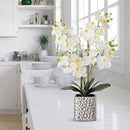 Orchid Artificial Flowers with Sliver Vase Large Silk Faux Phalaenopsis Flowers for Dining Room Table Floral Centerpieces Indoor Decoration,White by CozyNest Decor