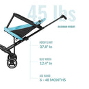 Dream On Me Lightweight and Compact Coast Rider Stroller with One Hand Easy Fold, Adjustable Handles and Soft Ride Wheels, Sky Blue by TinyTreasures Baby Boutique
