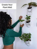 3PK Wall Planters for Indoor Plants, Macrame Plant Hanger | Wall Planter, Plant Hanger, Hanging Planter (3PK, for 4 inch Pot) by CozyNest Decor