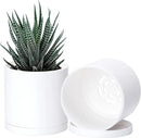 D'vine Dev 2 Pack 4.5 Inch Modern Plastic Plant Pots, Small Garden Planters for Plant with Drainage Holes and Saucers, White Color, 74-Z-F-1 by GreenHaven Gardens