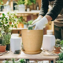 Pot for Plants 8 Inch - Ceramic Planter Indoor Plant Pot with Drainage Hole and Saucer Planter for Outdoor Plants Round Flower Pot for Home Patio Garden Office Decor Yellow