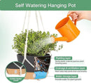 QCQHDU 2 Pack Hanging Planters for Indoor Plants, Outdoor Hanging Baskets, Self Watering Pots with Drainage Holes & Removable Tray (Dark Grey, 10 inch, Macrame Hanger) by GreenHaven Gardens