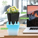Self Watering Planters for Indoor Plants : 5 inch 3 Pack Gradient Blue Planter with Water Level Indicator African Violet Self Watering Flower Pot for Herb pots House Plant by GreenHaven Gardens