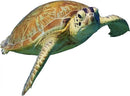Turtle Wall Stickers Gifts Christmas - Sea Turtle Wall Decals Peel and Stick - Turtle Wall Stickers Removable - Sea Turtle Animals Wall Decor for Kids Baby Bedroom Bathroom Living Room by CozyNest Decor