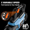 SENIX 20V Max Leaf Blower, Cordless, Brushless, Handheld, Up to 350 CFM and 80 MPH, 2 Speed Mode, Cruise Control, Lightweight, Tool Only, Battery and Charger Not Included(BLAX2-M-0) by GreenHaven Gardens