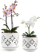 EFISPSS Orchid Pot-5+6 Inch,Ceramic Drainage Orchid Pots with Holes, Enhance Good Ventilation and Drainage,Orchid Pots Indoor/Outdoor Plants or Repotting by GreenHaven Gardens