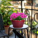 Ceramic Plant Pot 9 Inch - Planter Pot with Drainage Hole and Saucer, Round Large Planter for Indoor Plants, Outdoor Flower Pot for House Patio Decor, Red by GreenHaven Gardens
