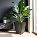 Worth Garden Large Metal Glazed Floor Planter Set of 2-14" Dia x 18" H - Luxurious Glossy Finish Black Tall Square Tapered Steel Plant Pots, Decor Flower Pot Indoor & Outdoor, Drainage Hole by GreenHaven Gardens