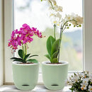QCQHDU 2 Pack Orchid Pots with Holes for Repotting, Double-Layer and Self Watering Orchid Pot with Good Air Circulation by GreenHaven Gardens