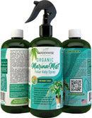 Organic Marina Mist Foliar Spray for Money Tree | Liquid Fertilizer | Micro Nutrients for Vital Health | Liquid Plant Food (8 OZ) by GreenHaven Gardens