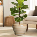 Ceramic Pot for Plant 10 Inch - Planter for Outdoor Plants Indoor Plant Pot with Drainage Hole Large Planter Round Flower Pot for House Patio Garden Yellow by GreenHaven Gardens