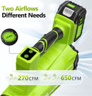 Electric Leaf Blower Cordless with 2 3.0Ah Battery and Charger, 2 Speed Mode 650CFM 280MPH Patio Tools with 2 Tubes, 20V Battery Powered Leaf Cleaner Handheld Blowers for Lawn Care, Dust, Leaves, Yard by GreenHaven Gardens
