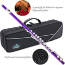EASTROCK Closed Hole Flutes C 16 Key for Beginner, Kids, Student -Nickel Flute with Case Stand and Cleaning kit (Purple) by TinyTreasures Baby Boutique