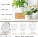 Macrame Plant Hangers with Pots and Saucers, 3 Pack Hanging Planters for Indoor Plants Hanging Plant Holders with Hooks 34" / 26" / 20" by GreenHaven Gardens