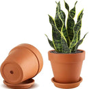 2 Pack Large Terracotta Pots with Saucer for Plants, 8 Inch Terra Cotta Plant Pot with Drainage Hole, Clay Flower Planter Pot with Tray for Indoor Plant by GreenHaven Gardens