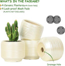 Mini Succulent Planter Set – 3.7 Inch Ceramic Pots with Drainage for Indoor Plants, Small Decorative Flower Pots for Cactus and House Plants, Set of 4 by CozyNest Decor