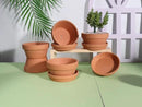 vensovo 5.7 Inch Terracotta Shallow Succulent Pot - 6 Pack Terra Cotta Clay Pots with Saucer, Cacuts Terra-Cotta Indoor and Outdoor Planters with Drainage Hole by GreenHaven Gardens