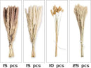 65PCS Pampas Grass Decor, Including pompas Floral, Reed Dried Grass and Bunny Tails Dried Flowers, Natural Dried Pampas Grass Bouquet for Boho Decor Wedding, Home Decoration by CozyNest Decor