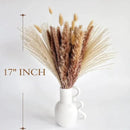 Natural Dried Pampas Grass Decor, Brown Pampas Grass， Bunny Tails Dried Flowers, Reed Grass Bouquet for Wedding Boho Flowers Home Table Decor, Fall Decor，Rustic Farmhouse Party (100 in Total ) by CozyNest Decor