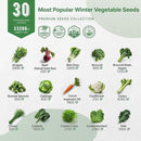 Organo Republic 30 Most Popular Winter Vegetable Garden Seeds Variety Pack- Outdoors/Indoor 33,200+ Non-GMO Heirloom Veggie Seeds Broccoli Beet Carrot Cabbage Chives Lettuce Radish Pea Spinach & More by GreenHaven Gardens